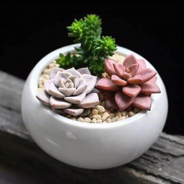 http://www.sccthly.com/uploadfile/20170411133502_474.png