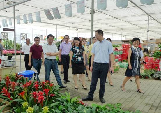 clip_image008.jpg 31ccb5fa2a26f943a02ce89eefef4efa