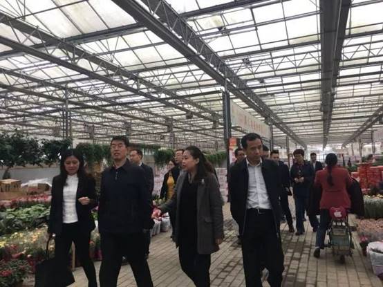 1c729584417a25ed5ee0ed1a1ece1355