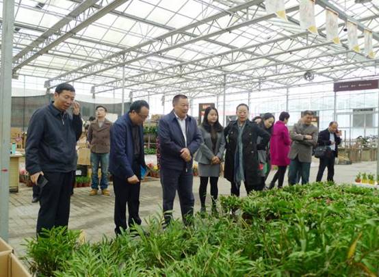 b2dab8761e084d8a5cd5ba4ee5b73f99