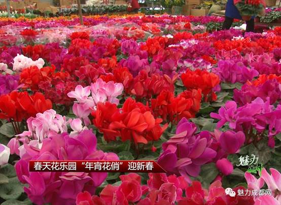 7cf3a2a50a7536514eafa32735d2d89d