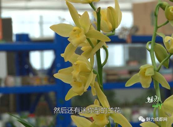 347e96eb64bb8e8fd96e9a4d92cd625c