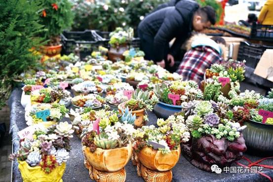 clip_image004.jpg cee1d552652c7df0d63d3f725f3eb036