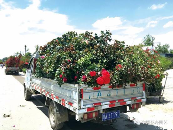 clip_image006.jpg 6c4d15d98d9f169bdff2b47490104f5d