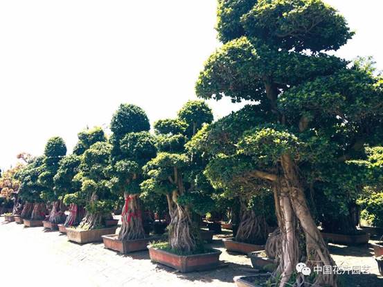 clip_image008.jpg 060d7ce4323487b869c20535f621de99